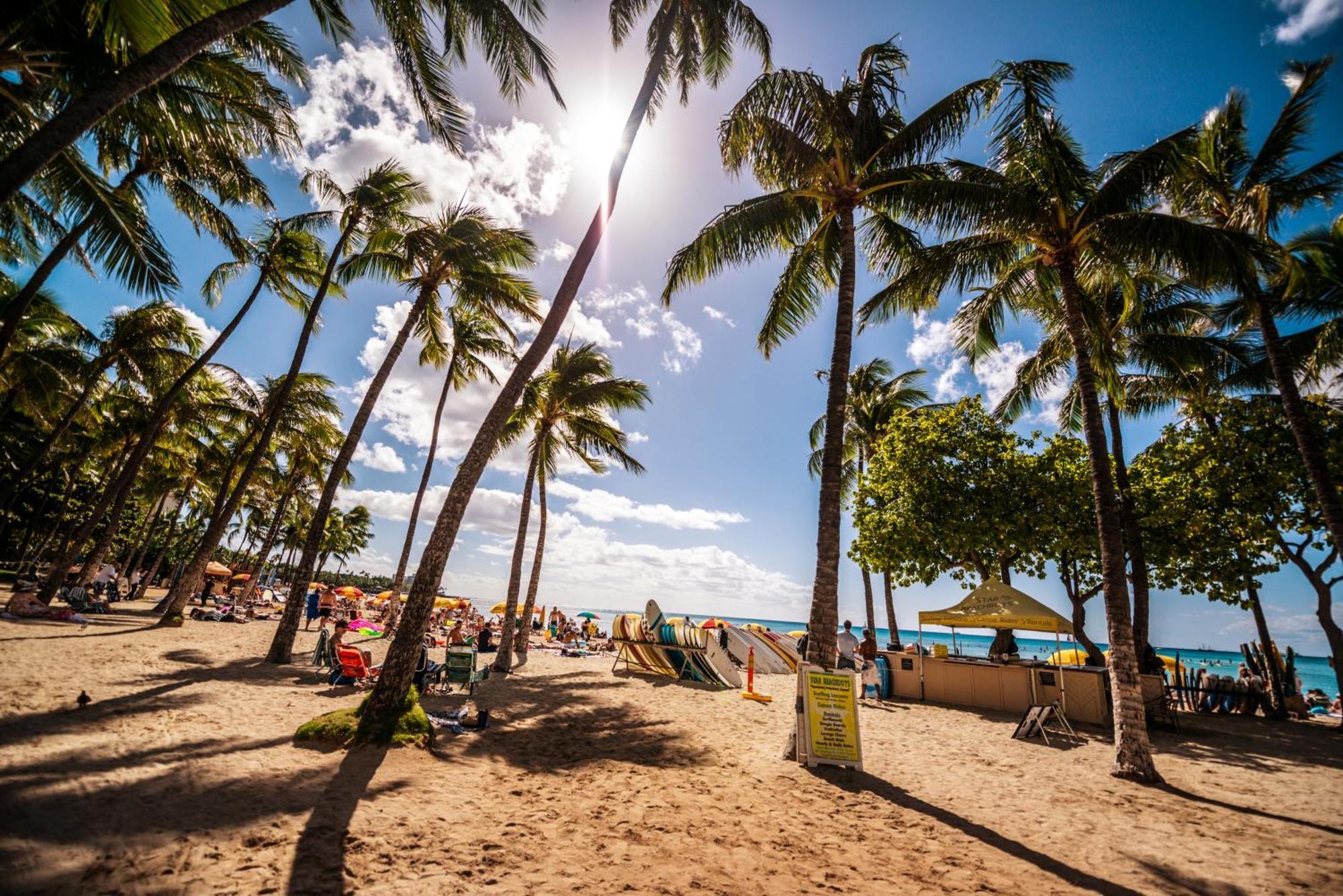 Mountain View Condo Near Beach With Free Parking! Honolulu Buitenkant foto