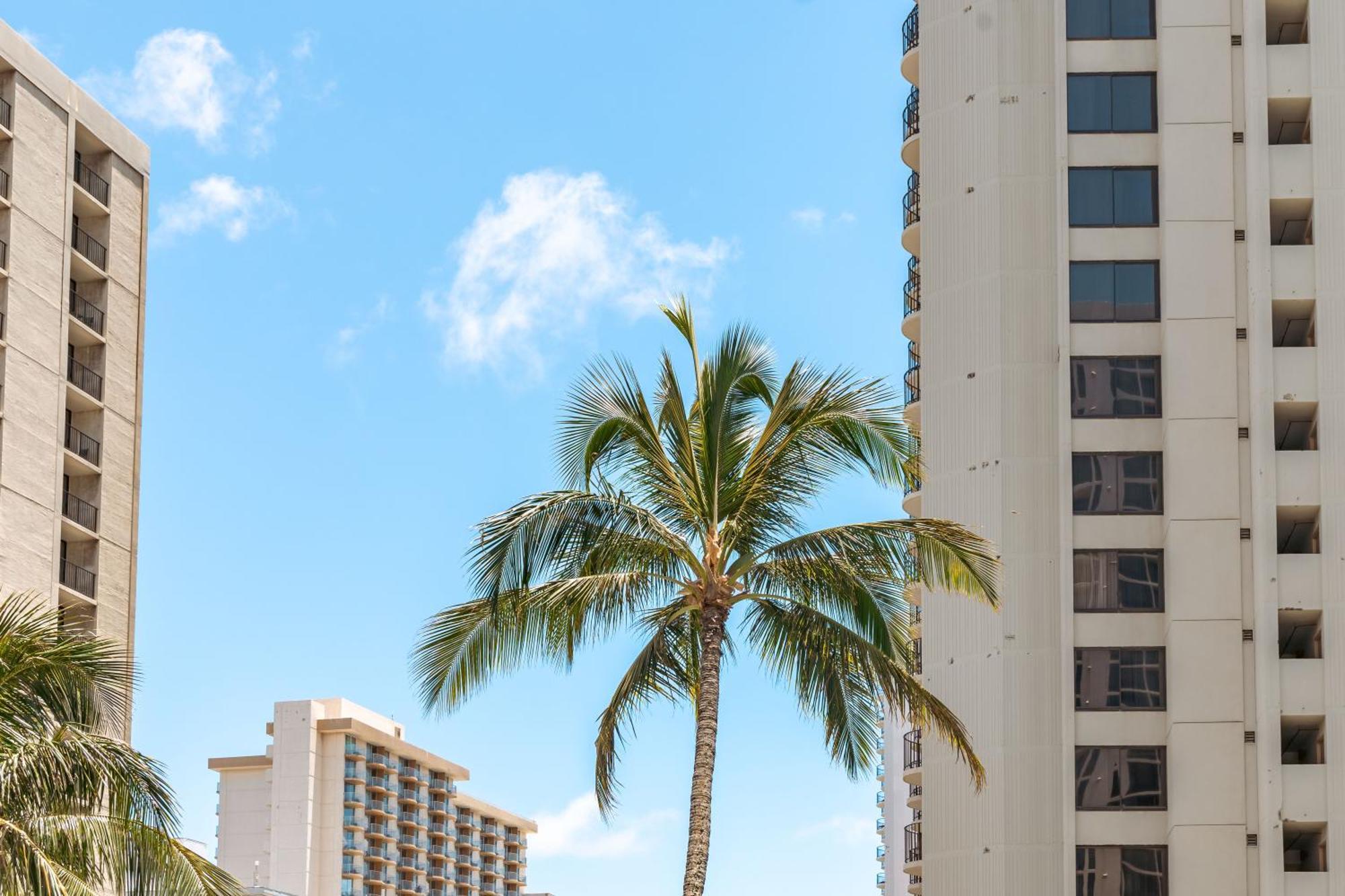 Mountain View Condo Near Beach With Free Parking! Honolulu Buitenkant foto